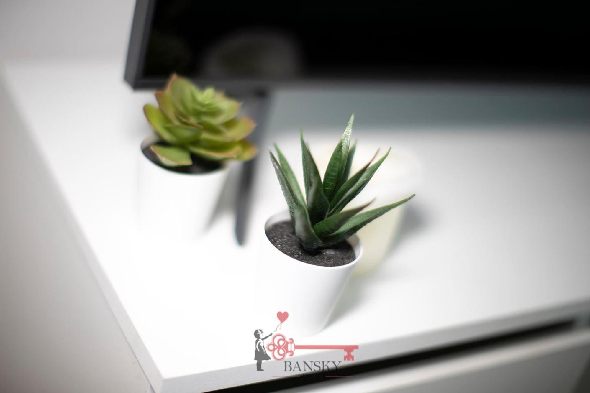 Tiffany'S Studio - Lugano In Style -By Easylife Swiss Esterno foto